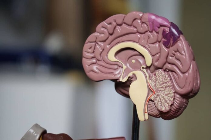 Alzheimer's Symptoms