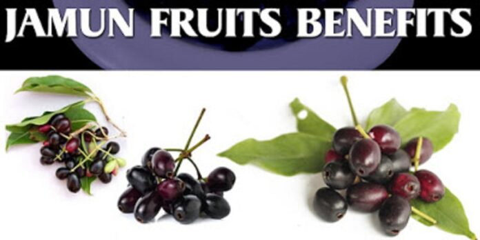 black-jamun-java-plum-health-benefits