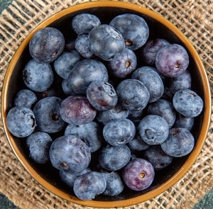 Blueberries