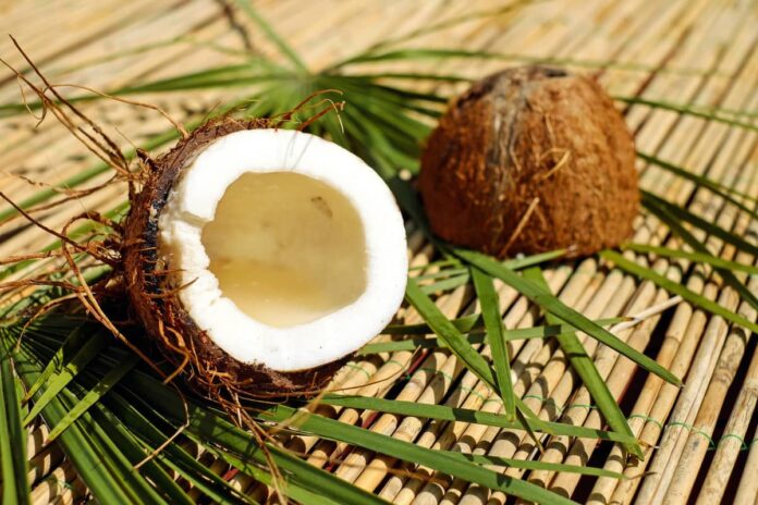 coconut shell