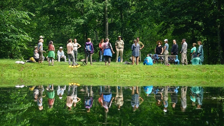 Essence of Forest Bathing