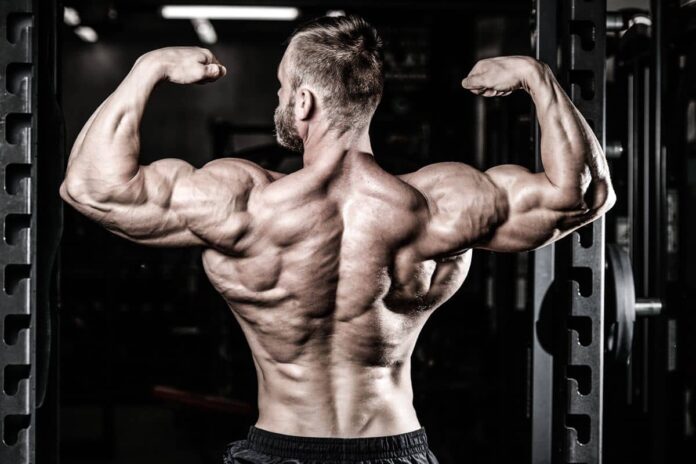 Workout Plans For Men