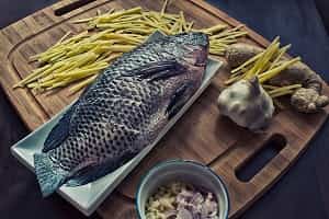 poultry-fish